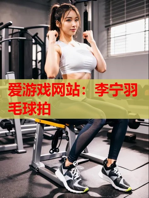 李宁羽毛球拍 李宁羽毛球拍