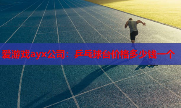 乒乓球台价格多少钱一个 乒乓球台价格多少钱一个