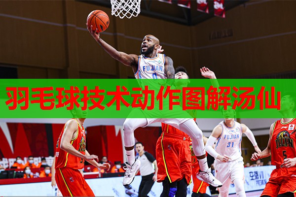 羽毛球技术动作图解汤仙 羽毛球技术动作图解汤仙