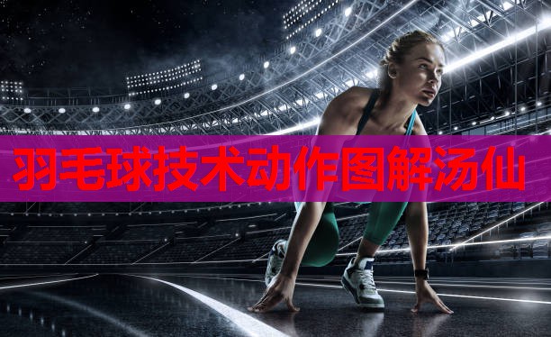 羽毛球技术动作图解汤仙 羽毛球技术动作图解汤仙