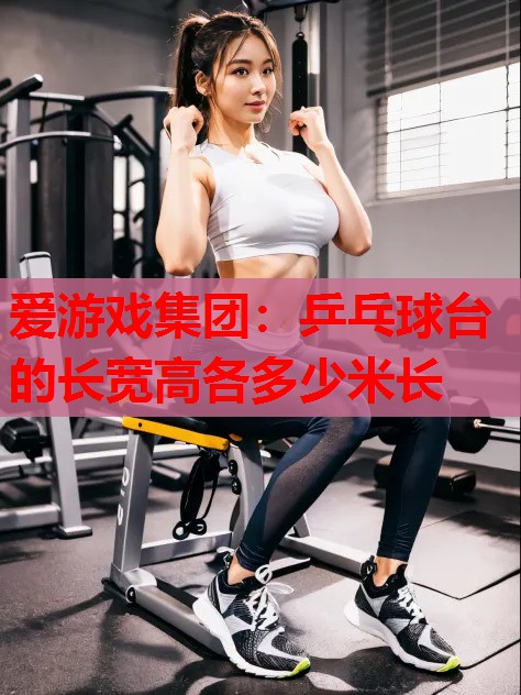 乒乓球台的长宽高各多少米长 乒乓球台的长宽高各多少米长