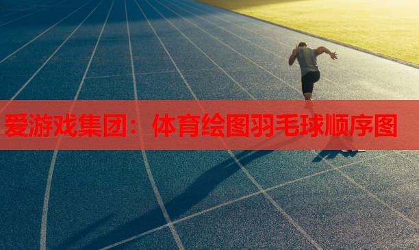 体育绘图羽毛球顺序图 体育绘图羽毛球顺序图