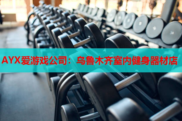 乌鲁木齐室内健身器材店 乌鲁木齐室内健身器材店