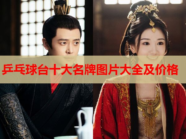 乒乓球台十大名牌图片大全及价格 乒乓球台十大名牌图片大全及价格