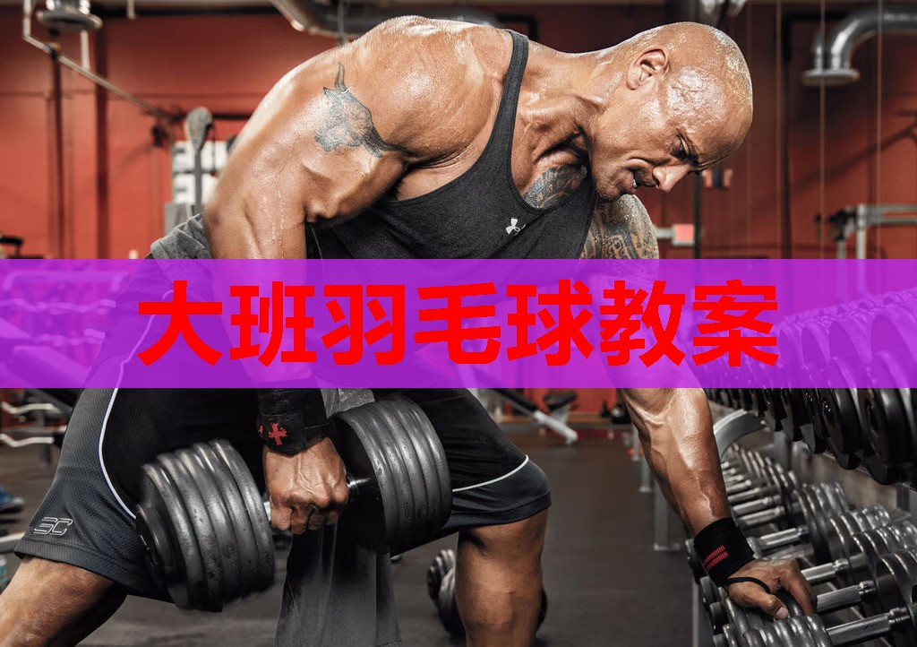 大班羽毛球教案 大班羽毛球教案