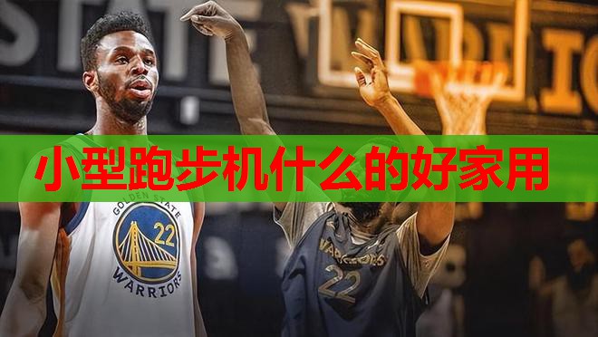 小型跑步机什么的好家用 小型跑步机什么的好家用
