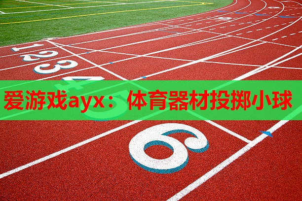 体育器材投掷小球 体育器材投掷小球