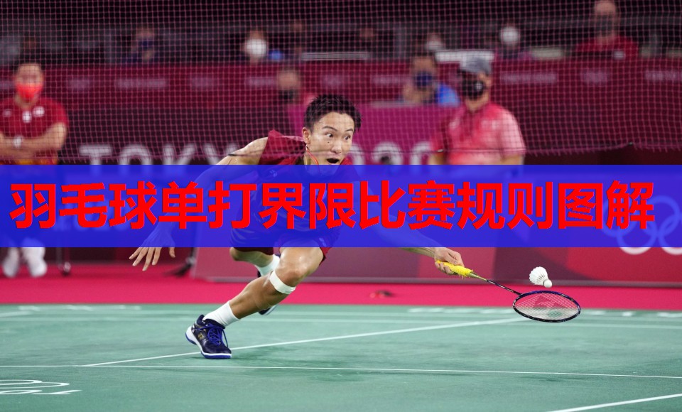 羽毛球单打界限比赛规则图解 羽毛球单打界限比赛规则图解