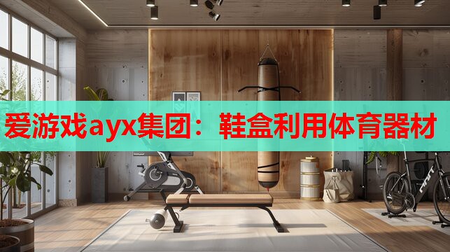 鞋盒利用体育器材 鞋盒利用体育器材