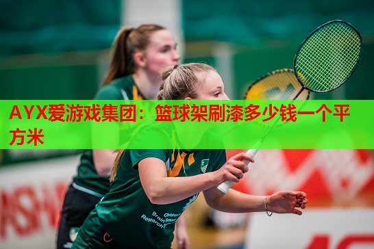 篮球架刷漆多少钱一个平方米 篮球架刷漆多少钱一个平方米