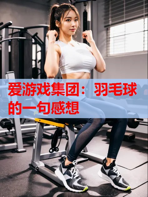 羽毛球的一句感想 羽毛球的一句感想