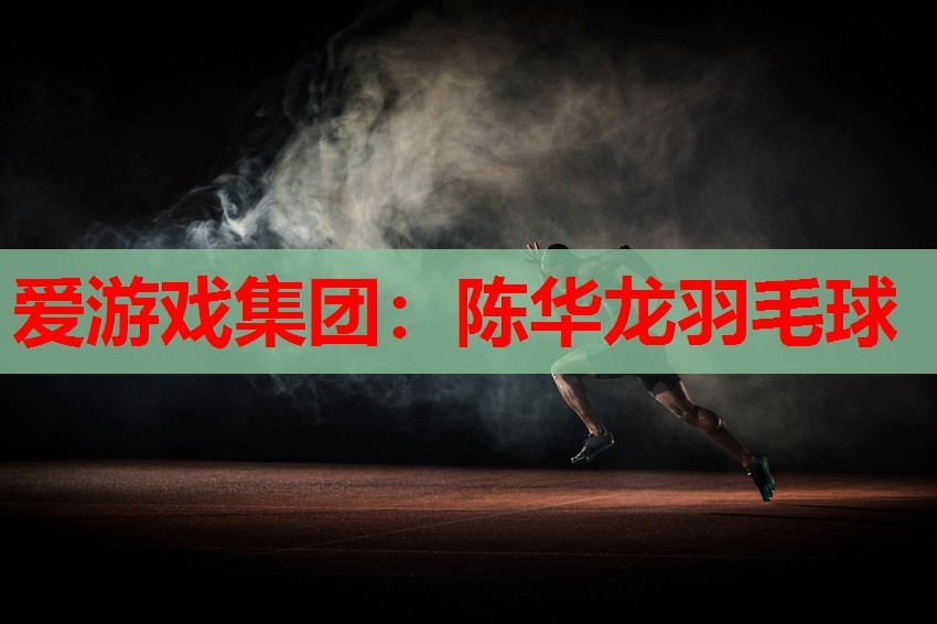 陈华龙羽毛球 陈华龙羽毛球