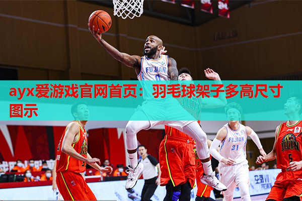 羽毛球架子多高尺寸图示 羽毛球架子多高尺寸图示