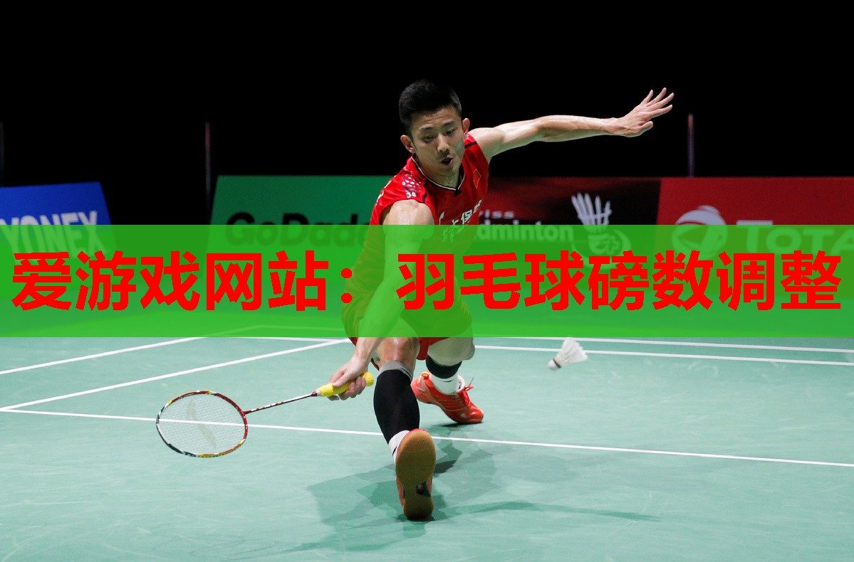 羽毛球磅数调整 羽毛球磅数调整