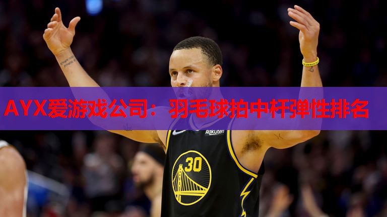 羽毛球拍中杆弹性排名 羽毛球拍中杆弹性排名