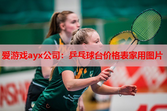 乒乓球台价格表家用图片 乒乓球台价格表家用图片